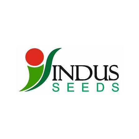 I&B Seeds (Indus)