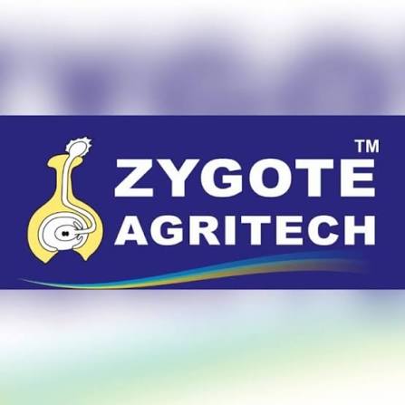 Zygote Seeds