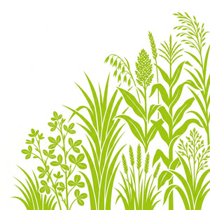 Fodder crops