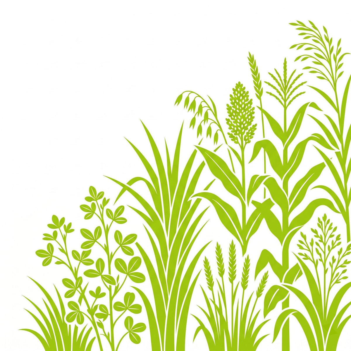 Fodder crops