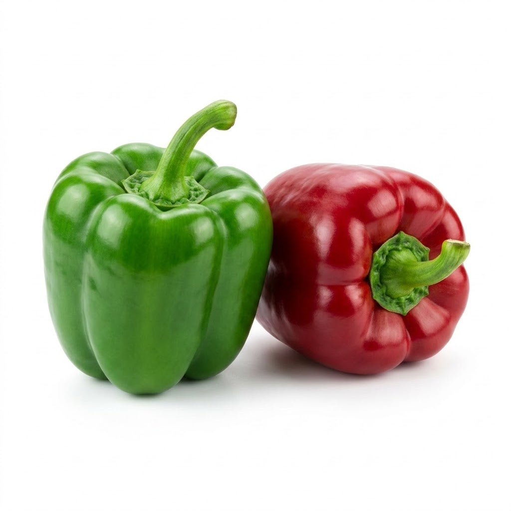 Capsicum
