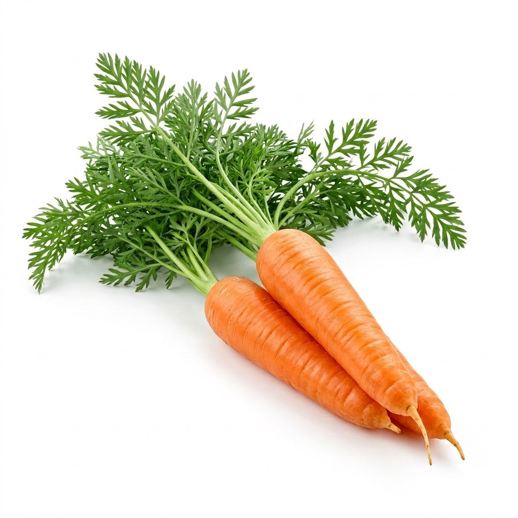 Carrot