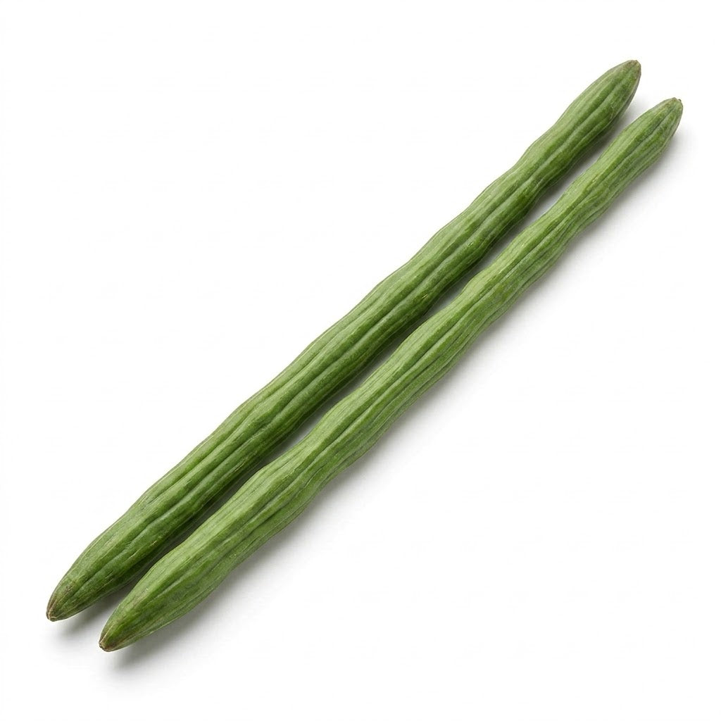 Drumstick