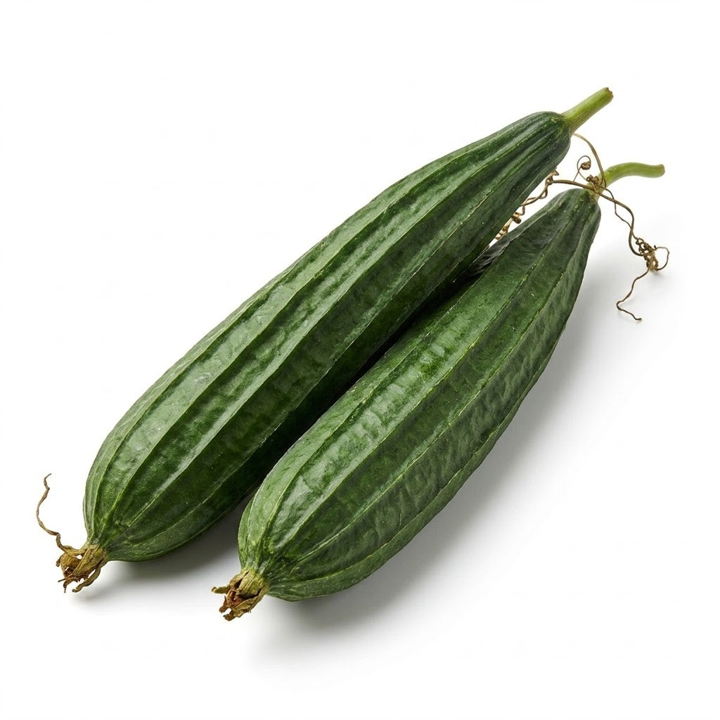 Ridge Gourd