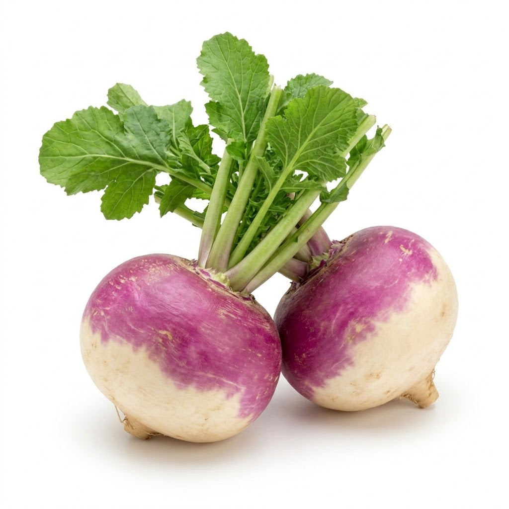 Turnip