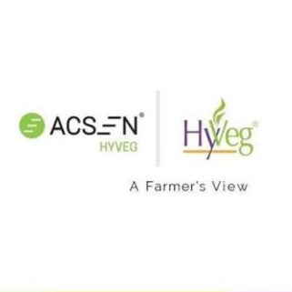 Acsen Hyveg