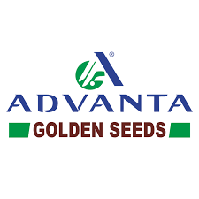 Advanta Golden Seeds