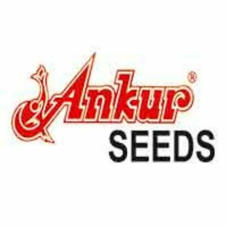 Ankur Seeds