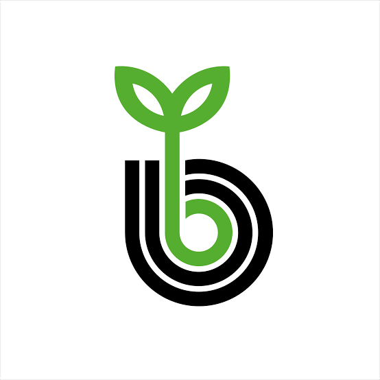 Bejo Seeds
