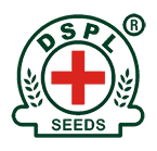 Doctor Seeds