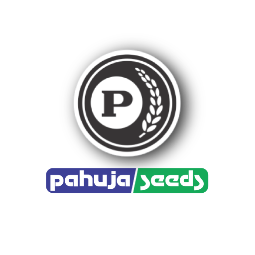 Pahuja Seeds