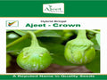 Brinjal Crown (Ajeet Seeds - 10 gm)
