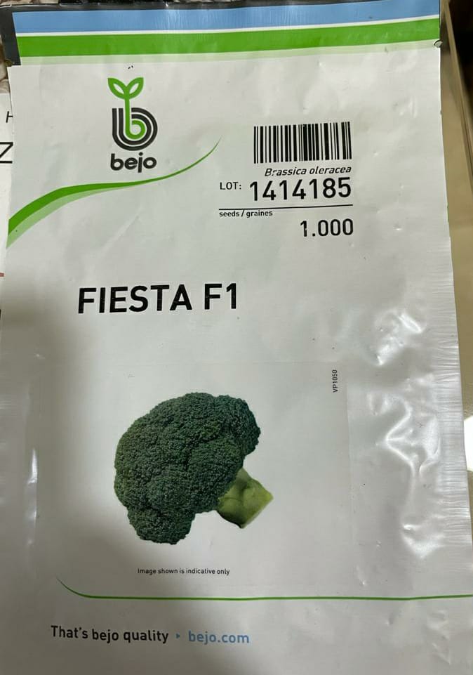 Broccoli Fiesta (Bejo Seed - 1000 Seeds)