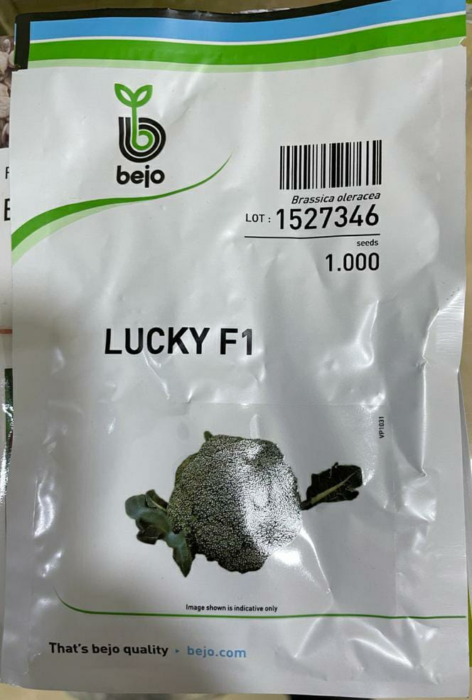 Broccoli Lucky (Bejo Seed - 1000 Seeds)