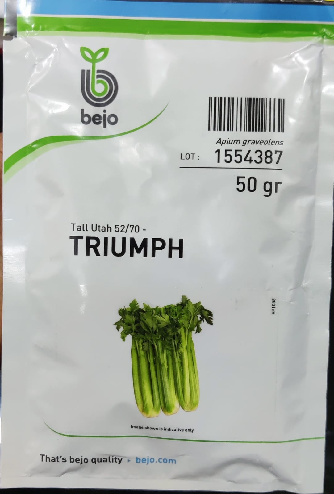 Celery Triumph (Bejo Seed - 1000 Seeds)