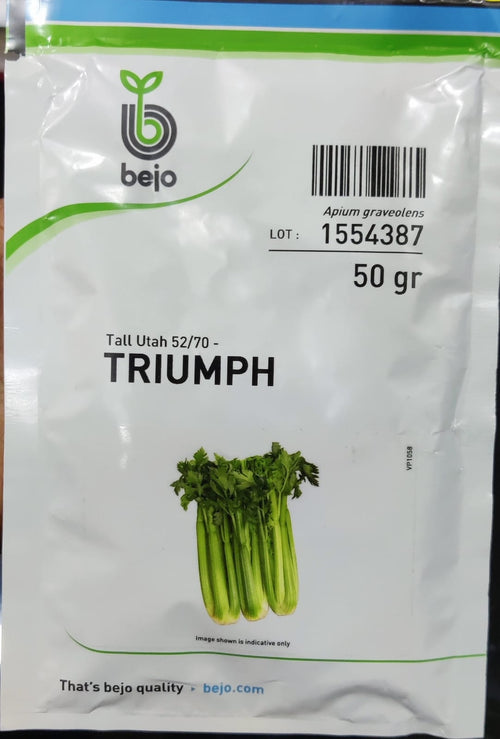 Celery Triumph (Bejo Seed - 1000 Seeds)