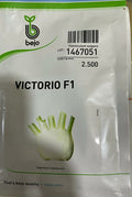 Fennel Victorio (Bejo Seed - 2500 Seeds)