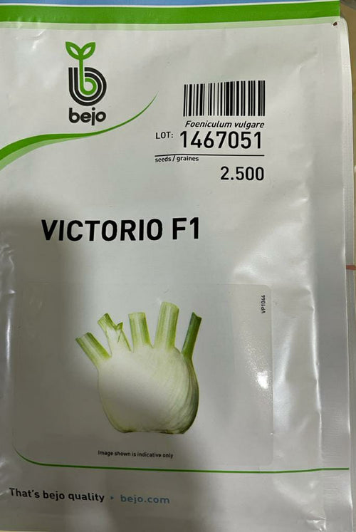 Fennel Victorio (Bejo Seed - 2500 Seeds)