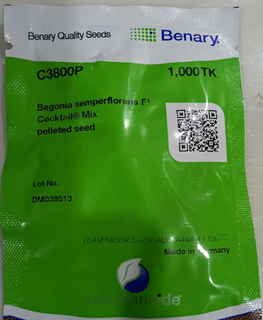 Begonia Cocktail Mix (Benary Quality Seeds - 1000 Seeds)