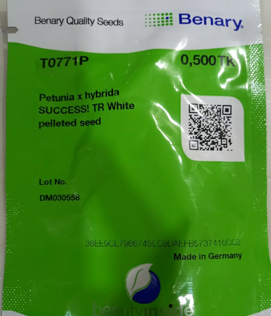 Petunia Success TR White (Benary Quality Seeds - 500 Seeds)