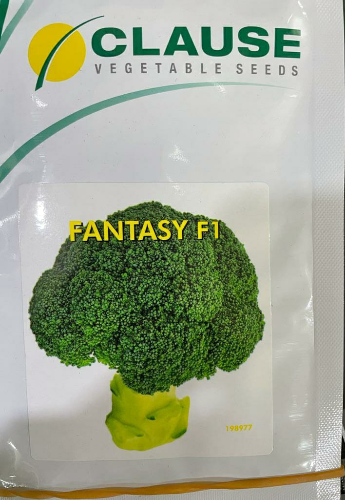 Broccoli Fantasy (Clause Seeds - 10 gm)