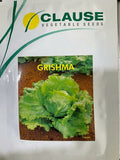 Lettuce Grishma (Clause Seeds - 10 gm)