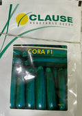 Squash Cora (Clause Seeds - 100 Seeds)
