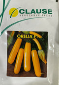 Squash Orelia (Clause Seeds - 100 Seeds)