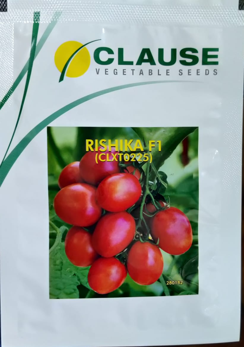 Tomato Rishika - CLX0225 (Clause Seeds - 10 gm)