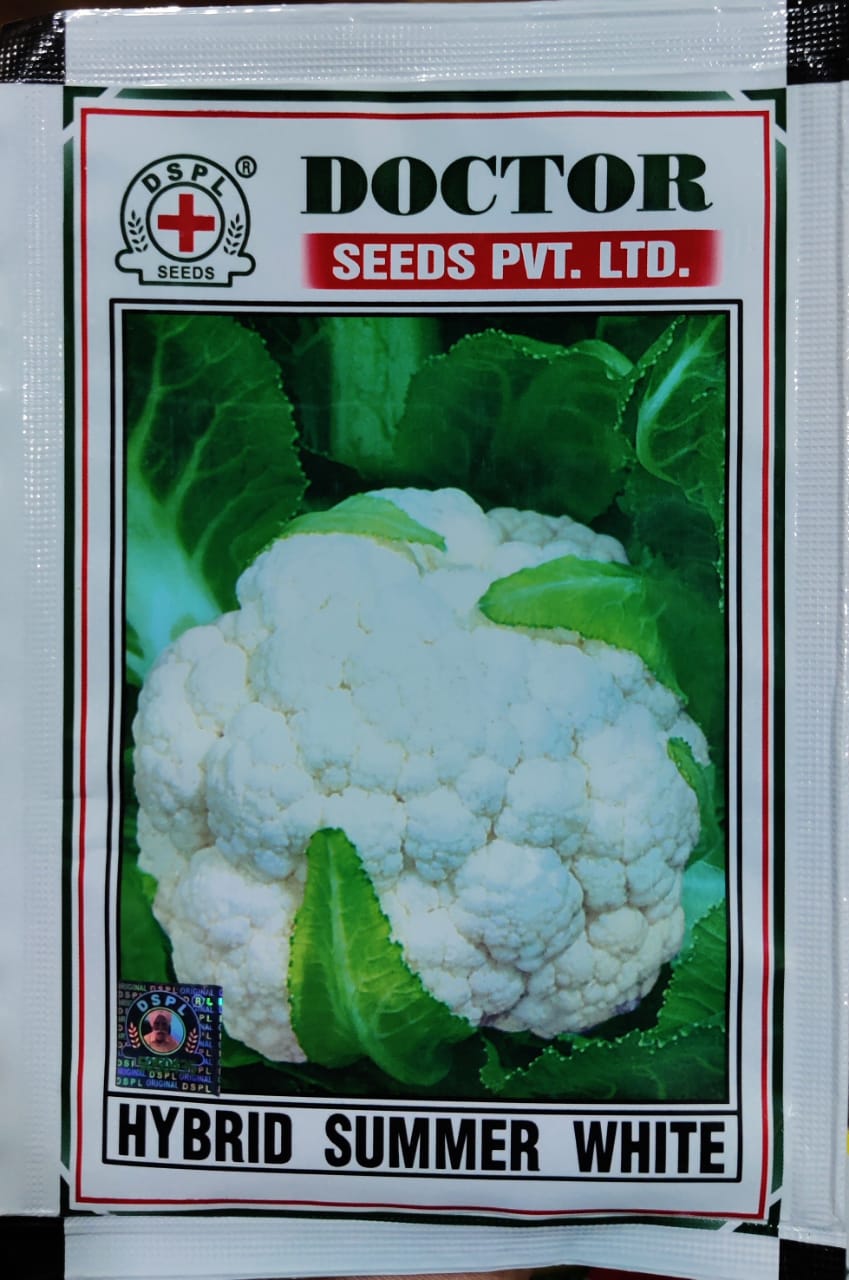 Cauliflower Summer White (Doctor Seeds - 10 gm)