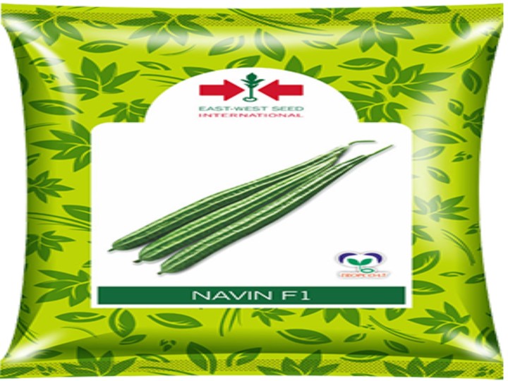 Ridge Gourd Navin F1 (East West Seed - 50 gm)