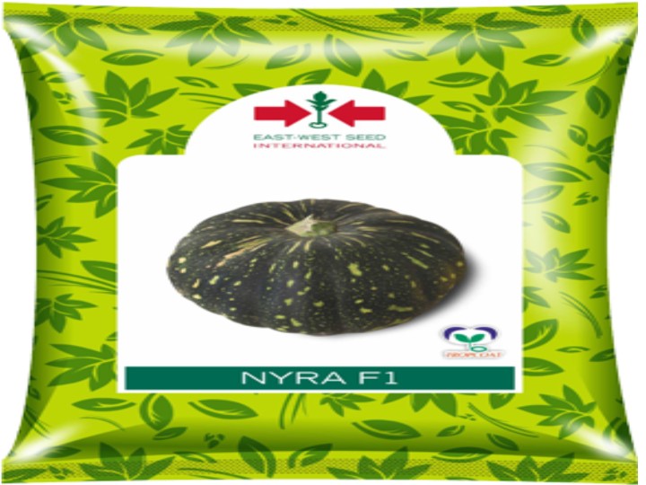 Pumpkin Nayra F1 (East West Seed - 50 gm)