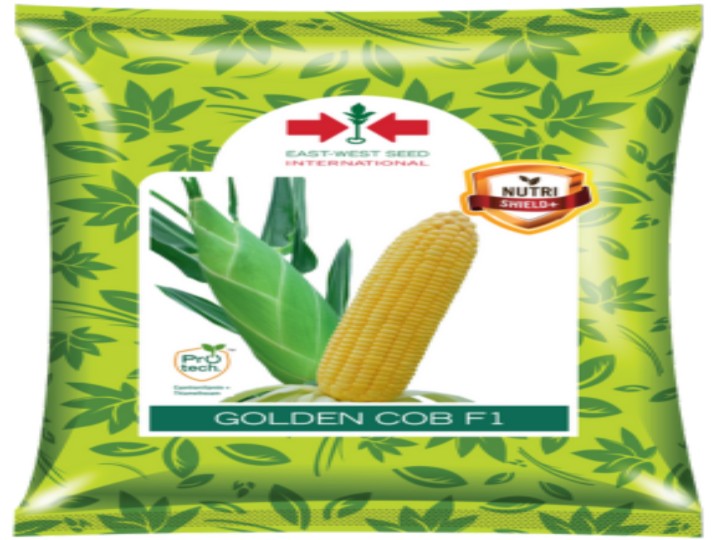 Sweet Corn Golden Cob F1 (East West Seed - 500 gm)