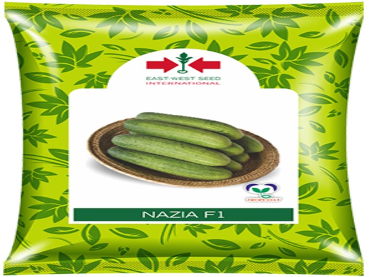 Cucumber F1 Nazia (East West Seed - 300 Seeds)