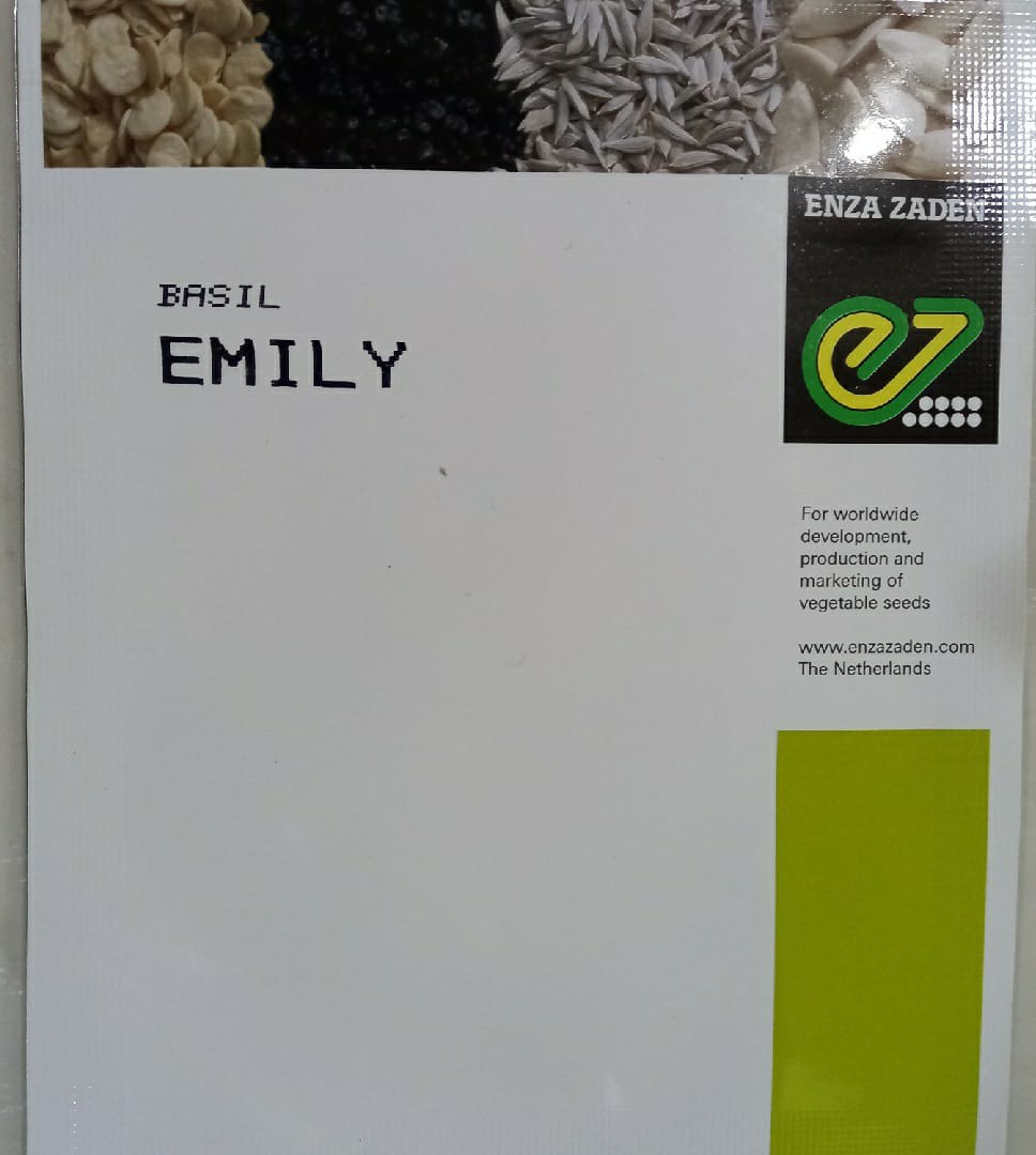 Basil Emily (Enza Zaden - 10 gm)