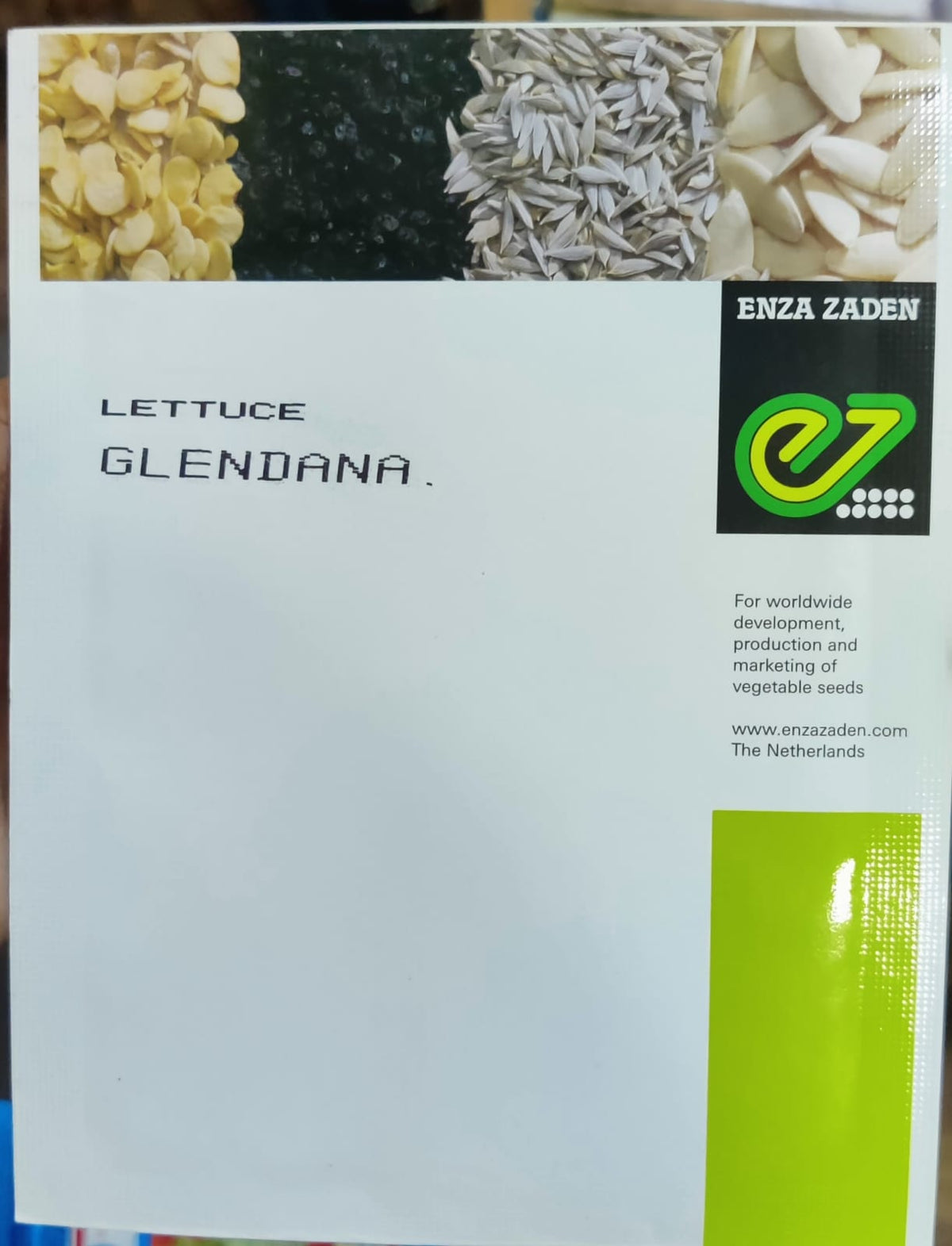 Lettuce Glendana (Enza Zaden - 1000 Seeds)