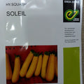Squash Soleil (Enza Zaden)