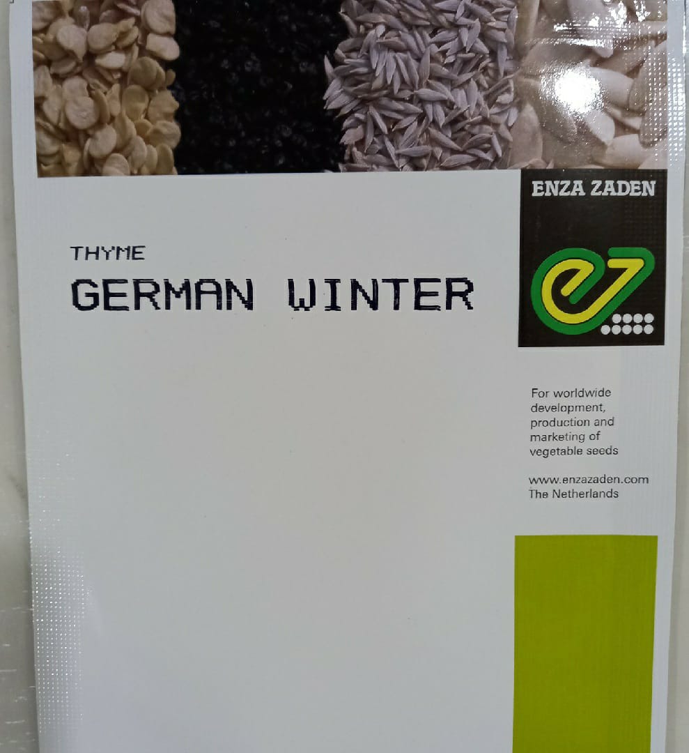 Thyme German Winter (Enza Zaden - 10 gm)