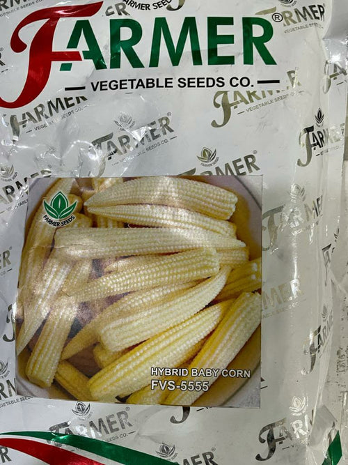 Baby Corn FVS 5555 (Farmer Vegetables Seeds - 1 kg)