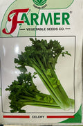 Celery Tall Utah (Farmer Vegetables Seeds - 10 gm)