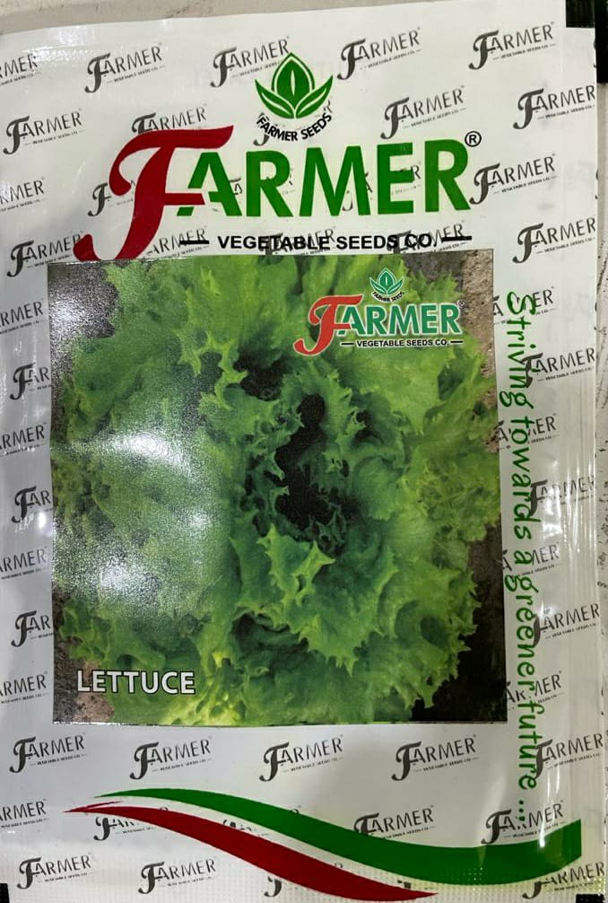 Lettuce Grand Rapid (Farmer Vegetables Seeds - 10 gm)