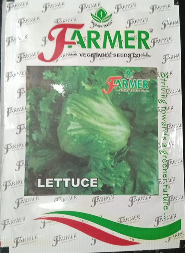 Lettuce Great Lakes (Farmer Vegetables Seeds - 10 gm)