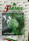 Lettuce Iceburg Climax (Farmer Vegetables Seeds - 10 gm)