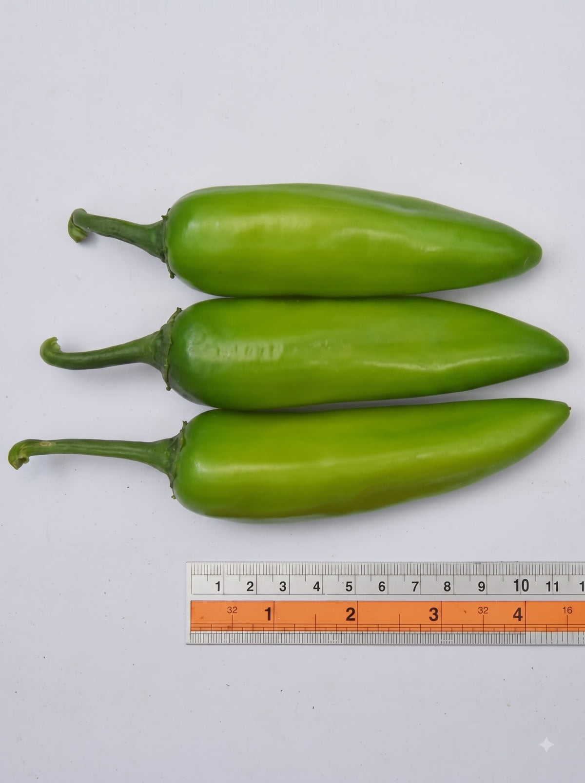 Chilli G - 907 (VNR Seeds - 10 gm)
