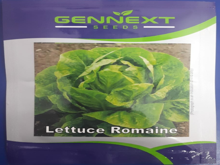 Lettuce Romaine ( Gennext Seeds) - 10 gm (GENNEXT CROP SCIENCE PVT LTD. - 10 gm)