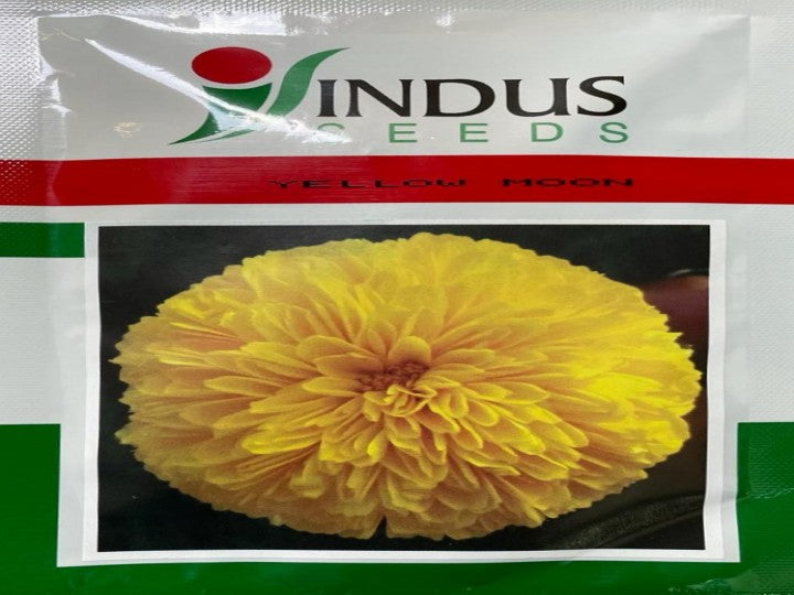 Bijilee Yellow Moon (Indus Seeds - 10 gm)