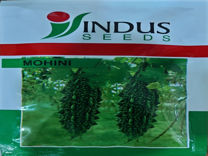 Bitter Gourd Mohini (Indus Seeds - 50 gm)