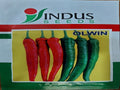 Chilli Olwin (Indus Seeds - 10 gm)