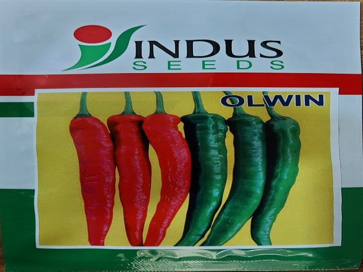Chilli Olwin (Indus Seeds - 10 gm)