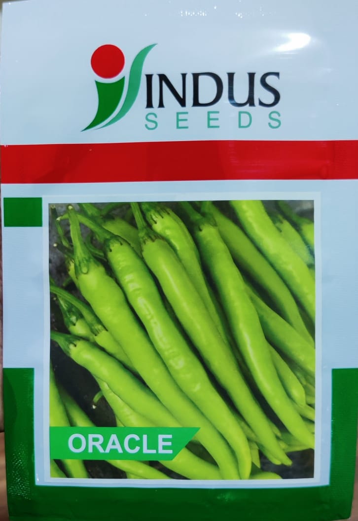 Chilli Oracle (Indus Seeeds - 10 gm)
